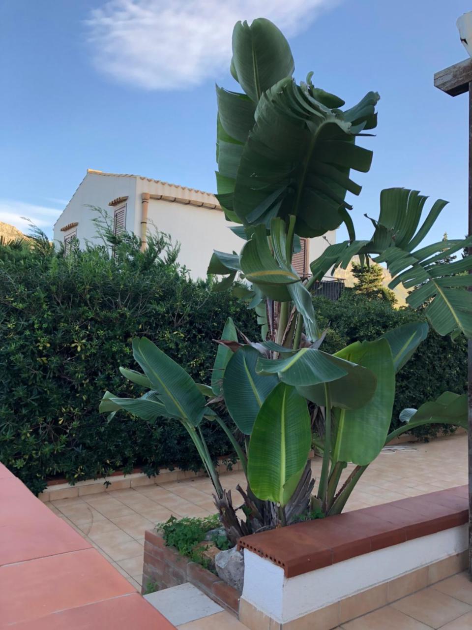Villa A San Vito Lo Capo Minaudo Экстерьер фото